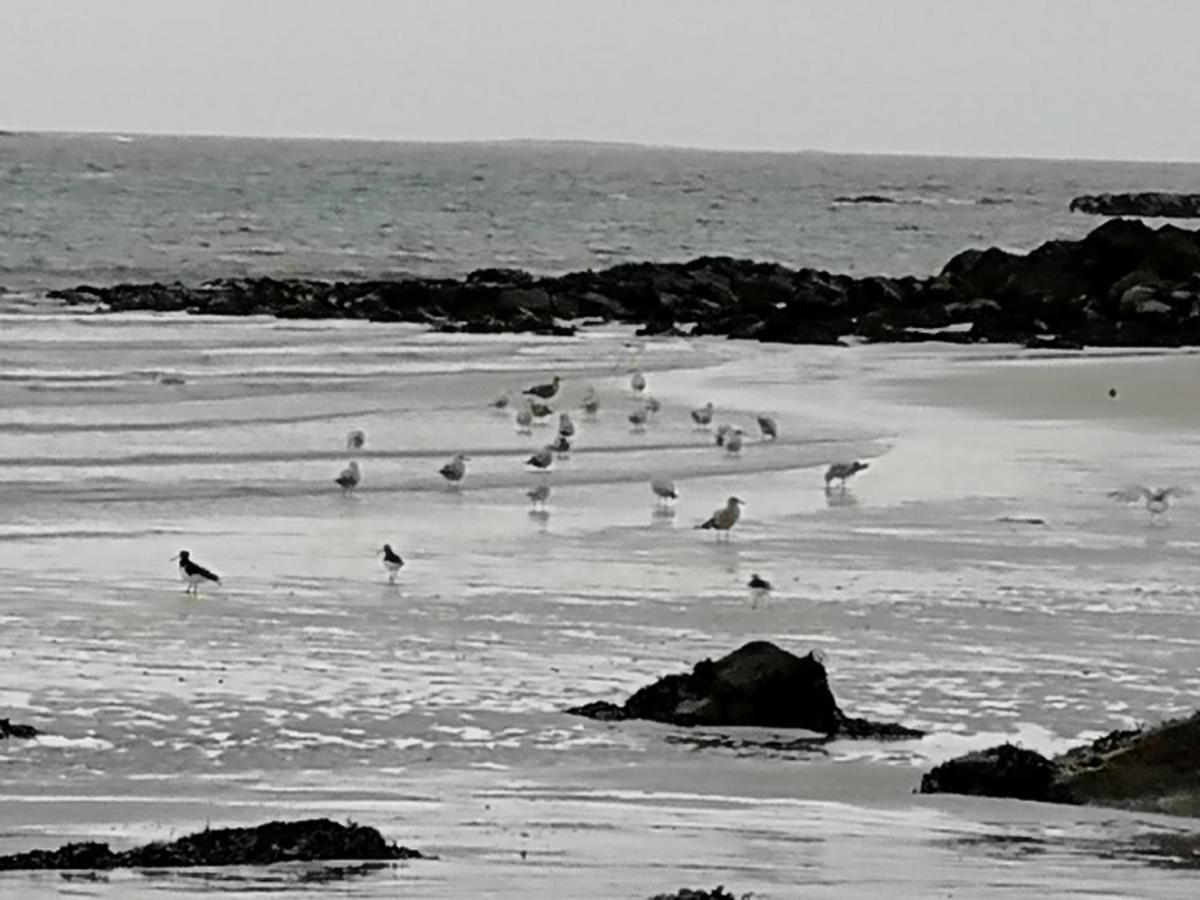 The Fisherman'S Snug Self Catering North Uist Paible Luaran gambar