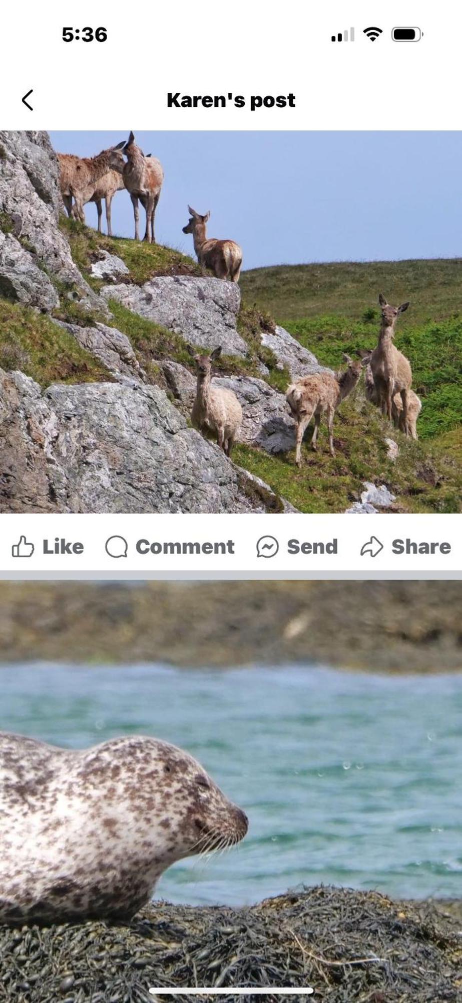 The Fisherman'S Snug Self Catering North Uist Paible Luaran gambar